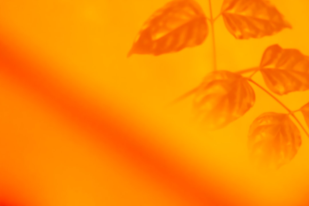 Photo 1 Orange aura 2 Energy field